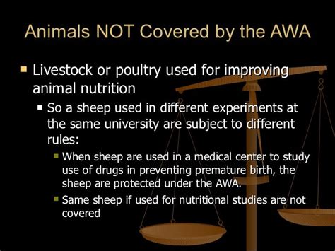 Are Farm Animals Included In Animal Welfare Act